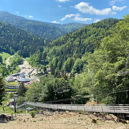 Direkt Am Skilift Apartment