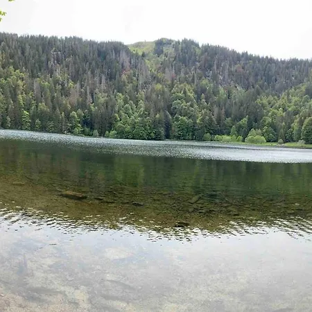 Apartment Direkt Am Skilift Feldberg (Baden-Wurttemberg)